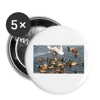 Canard en famille - Lot de 5 grands badges (56 mm) - blanc - Devant