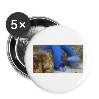 Blauer Seestern - Buttons groß 56 mm (5er Pack) - Weiß - Vorne