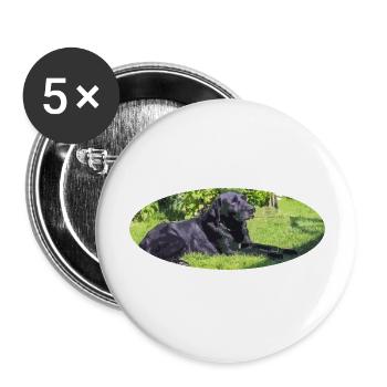 labrador - Buttons large 2.2''/56 mm (5-pack) - white - Front