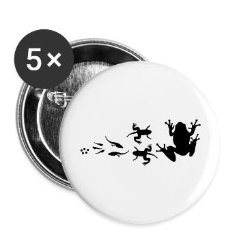 évolution-grenouille - Lot de 5 grands badges (56 mm) - blanc - Devant