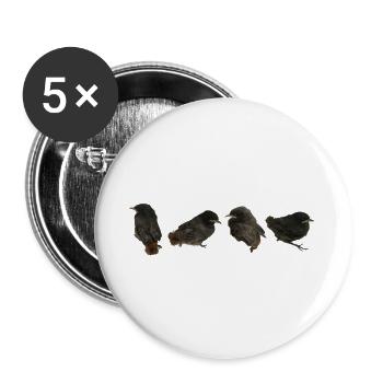 Hausrotschwänzchen Ästlinge - Buttons groß 56 mm (5er Pack) - Weiß - Vorne