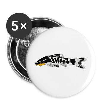Zebra oto, Tiger oto wels. Otocinclus cocama - Buttons groß 56 mm (5er Pack) - Weiß - Vorne