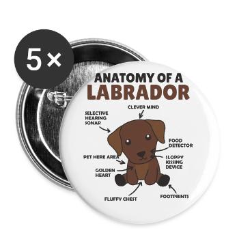 Anatomie d’un labrador Retriever chiens mignons - Lot de 5 grands badges (56 mm) - blanc - Devant