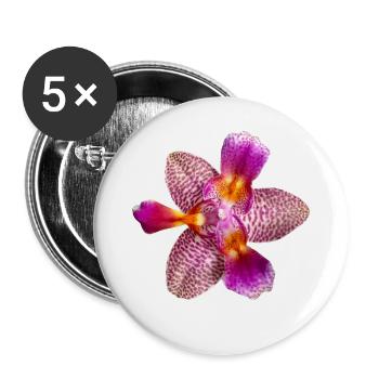 Phalaenopsis Joy Fairy Tale peloric Orchideenblüte - Buttons groß 56 mm (5er Pack) - Weiß - Vorne