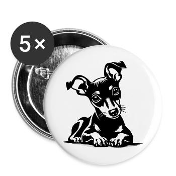 Pinscher nain - Lot de 5 grands badges (56 mm) - blanc - Devant