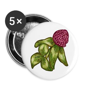 Karmesinblüte mit Farnblättern - Buttons groß 56 mm (5er Pack) - Weiß - Vorne