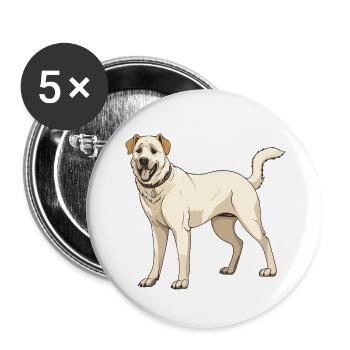 Kangal Hund - Buttons groß 56 mm (5er Pack) - Weiß - Vorne