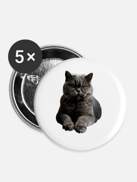 British Shorthair - Buttons groß 56 mm (5er Pack) - Weiß