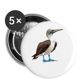 Fou à pieds bleus - Lot de 5 grands badges (56 mm) - blanc - Devant