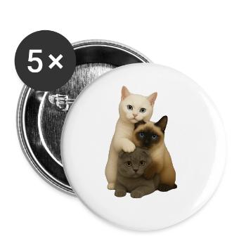 British Shorthair Siamois Fold - Lot de 5 grands badges (56 mm) - blanc - Devant