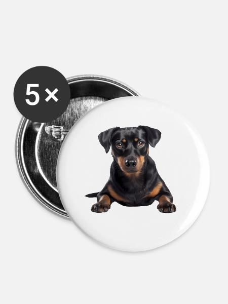 Austrian Pinscher - Buttons groß 56 mm (5er Pack) - Weiß