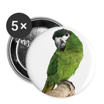 Der edle Ara - Buttons groß 56 mm (5er Pack) - Weiß - Vorne