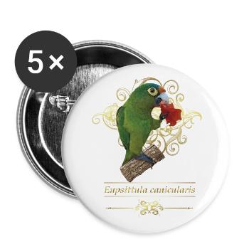 The orange-fronted parakeet - Buttons large 2.2''/56 mm (5-pack) - white - Front
