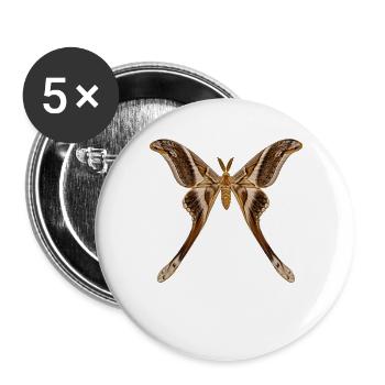 Hercules, Motte Coscinocera hercules - Buttons groß 56 mm (5er Pack) - Weiß - Vorne