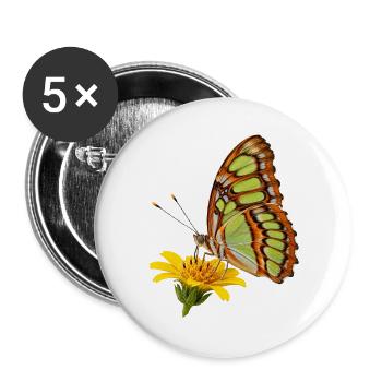 Schmetterling Malachit - Buttons groß 56 mm (5er Pack) - Weiß - Vorne