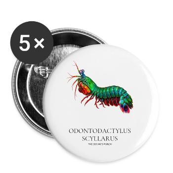 Pfauen-Gottanbeterin-Garnelen-Illustration - Buttons groß 56 mm (5er Pack) - Weiß - Vorne