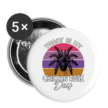 Chile Vogelspinne - Buttons groß 56 mm (5er Pack) - Weiß - Vorne