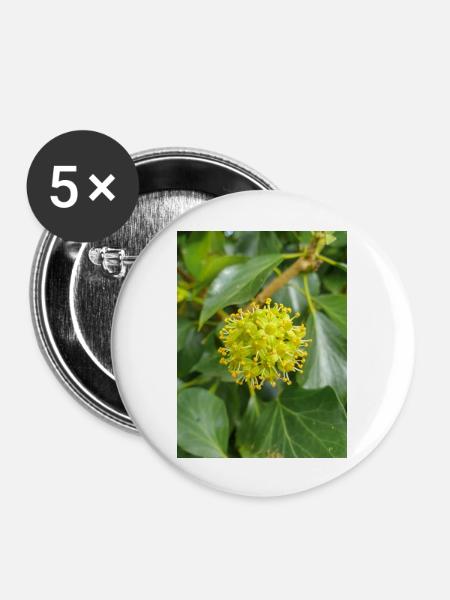 Persischer Efeu (Kolchischer Efeu) - Buttons groß 56 mm (5er Pack) - Weiß