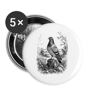 Colombe fière dans la nature dans un style de dessin détaillé - Lot de 5 grands badges (56 mm) - blanc - Devant