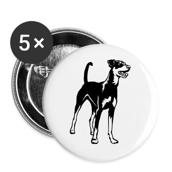 Deutscher Pinscher - Buttons groß 56 mm (5er Pack) - Weiß - Vorne