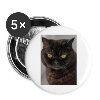 Britisch Kurzhaar Grüne Augen - Buttons groß 56 mm (5er Pack) - Weiß - Vorne