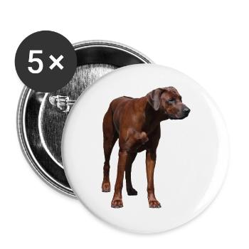 Rhodesian Ridgeback - Dog Motif - Buttons large 2.2''/56 mm (5-pack) - white - Front