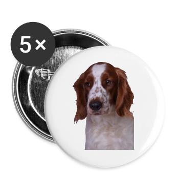 Welsh Springer Spaniel - Buttons groß 56 mm (5er Pack) - Weiß - Vorne