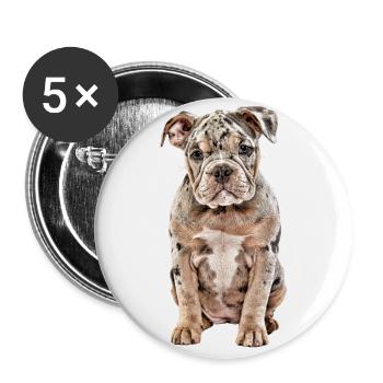 OLD ENGLISH BULLDOG Dog Dogs Bulldog - Buttons large 2.2''/56 mm (5-pack) - white - Front