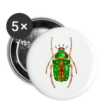 Stephanorrhina guttata-beautiful insect - Buttons large 2.2''/56 mm (5-pack) - white - Front