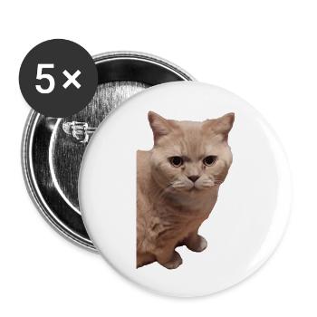 britisch Kurzhaar Katze Katzen - Buttons groß 56 mm (5er Pack) - Weiß - Vorne