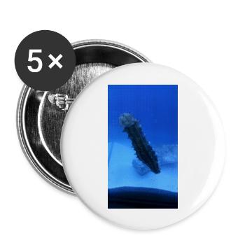 See Walze - Buttons groß 56 mm (5er Pack) - Weiß - Vorne