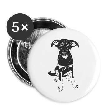 Malinois Mix - Buttons groß 56 mm (5er Pack) - Weiß - Vorne