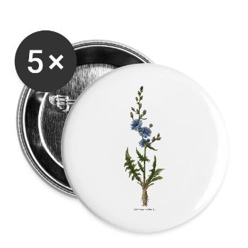 Chicory - Buttons large 2.2''/56 mm (5-pack) - white - Front