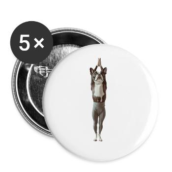 Boston Terrier - Buttons groß 56 mm (5er Pack) - Weiß - Vorne