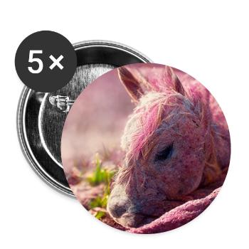 Baby Pferd liegt auf dem Boden Rosa III - Buttons groß 56 mm (5er Pack) - Weiß - Vorne