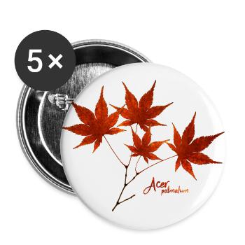Ahorn im Herbst, rote Ahornblätter ~ Herbaria - Buttons groß 56 mm (5er Pack) - Weiß - Vorne