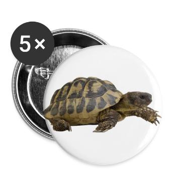 turtle tortoise animals animals9 - Buttons large 2.2''/56 mm (5-pack) - white - Front