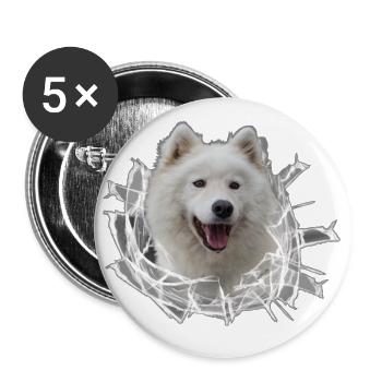 Samojede im Glasloch - Buttons groß 56 mm (5er Pack) - Weiß - Vorne