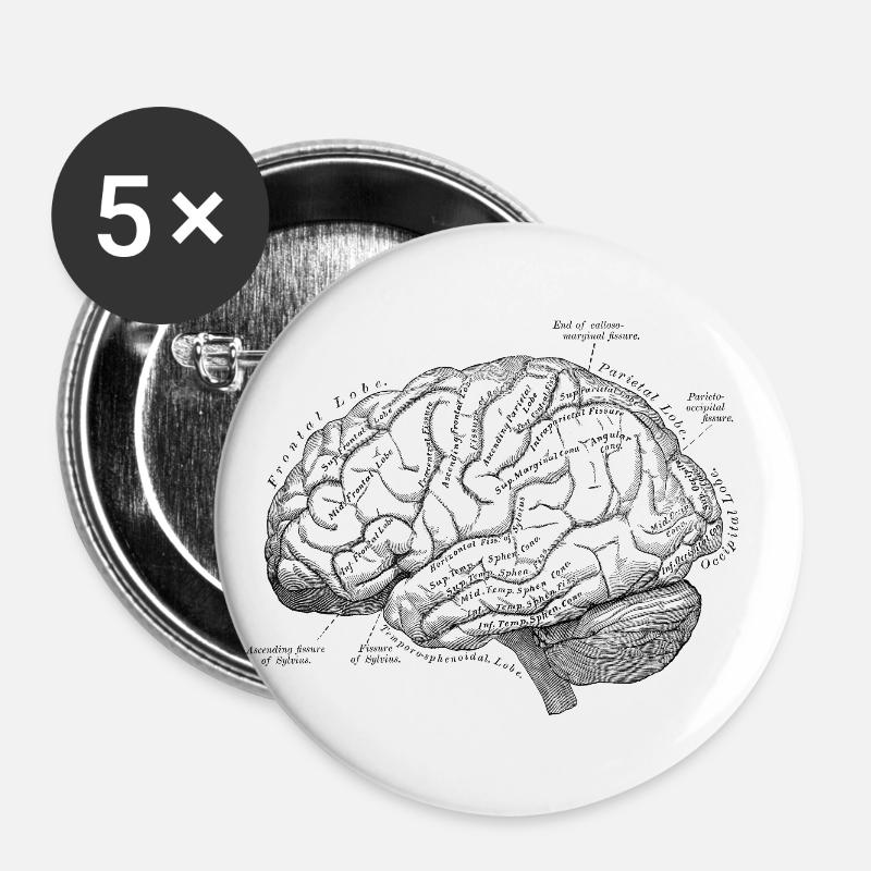 Human Body - Brain - Buttons large 2.2''/56 mm (5-pack) - white