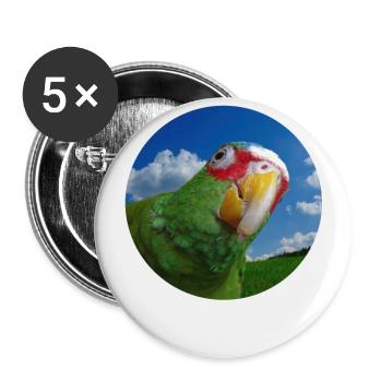 Weißstirnamazone - Buttons groß 56 mm (5er Pack) - Weiß - Vorne