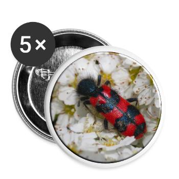 Der Bienenkäfer oder Bienenwolf - Buttons groß 56 mm (5er Pack) - Weiß - Vorne
