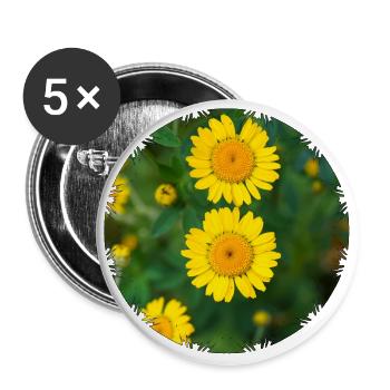 Dyer's chamomile (Anthemis tinctoria) - Buttons large 2.2''/56 mm (5-pack) - white - Front
