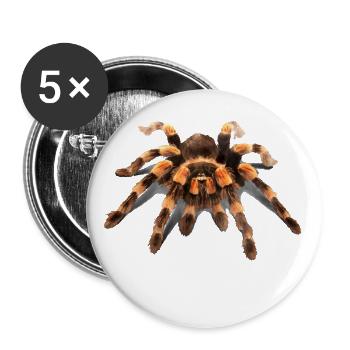TARENTULE, TARENTULE MEXICAINE À GENOUX ROUGES - Lot de 5 grands badges (56 mm) - blanc - Devant
