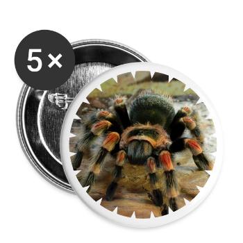 La tarentule à genoux rouges comme animal de compagnie - Lot de 5 grands badges (56 mm) - blanc - Devant