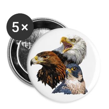 Pygargue à tête blanche, aigle royal et faucon pèlerin - Lot de 5 grands badges (56 mm) - blanc - Devant