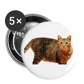 Katze Kätzchen - Buttons groß 56 mm (5er Pack) - Weiß - Vorne
