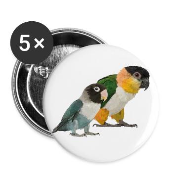Caique und Agapornis - Buttons groß 56 mm (5er Pack) - Weiß - Vorne
