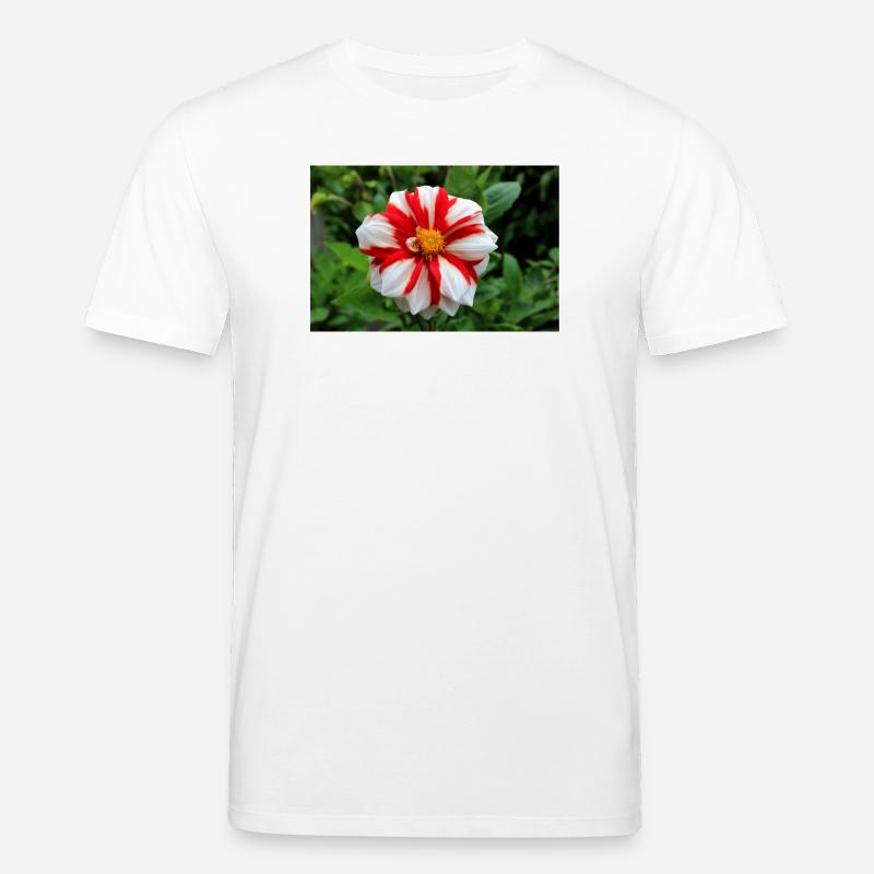 Dahlia blanc rouge fleur, fleur - T-shirt bio CREATOR Stanley/Stella Unisexe - blanc