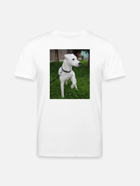 image00004 - T-shirt bio CREATOR Stanley/Stella Unisexe - blanc