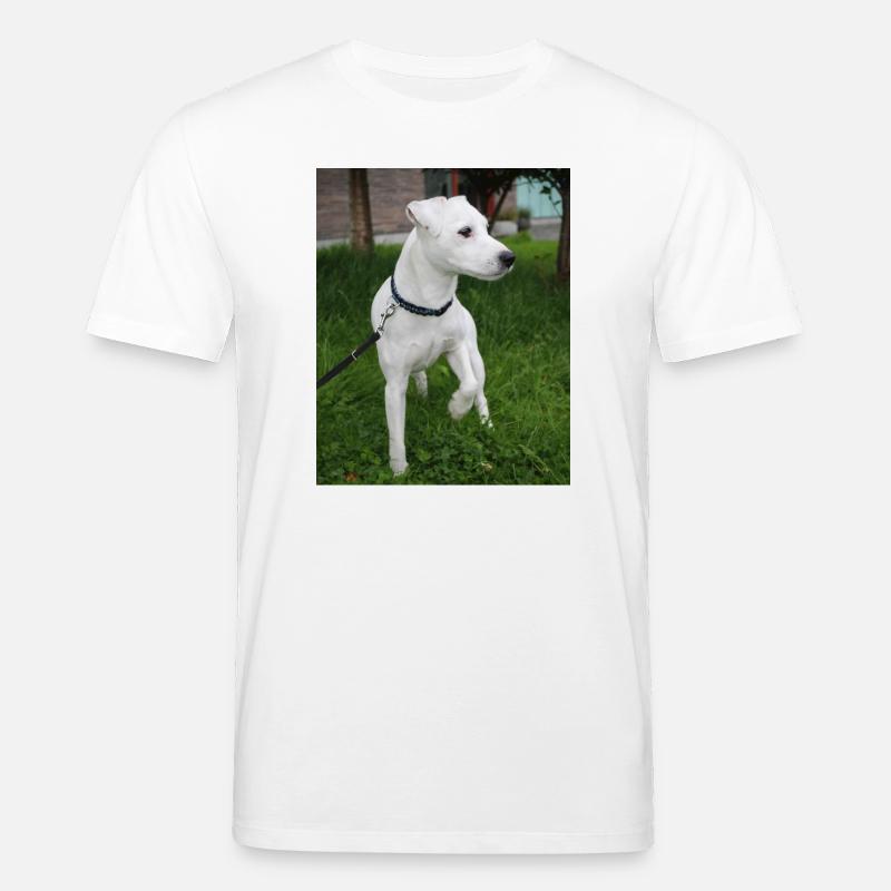 image00004 - Stanley/Stella CREATOR Unisex Organic T-Shirt - white